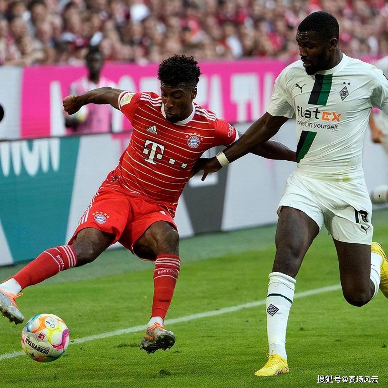 3377- 张雨绮被曝代孕 